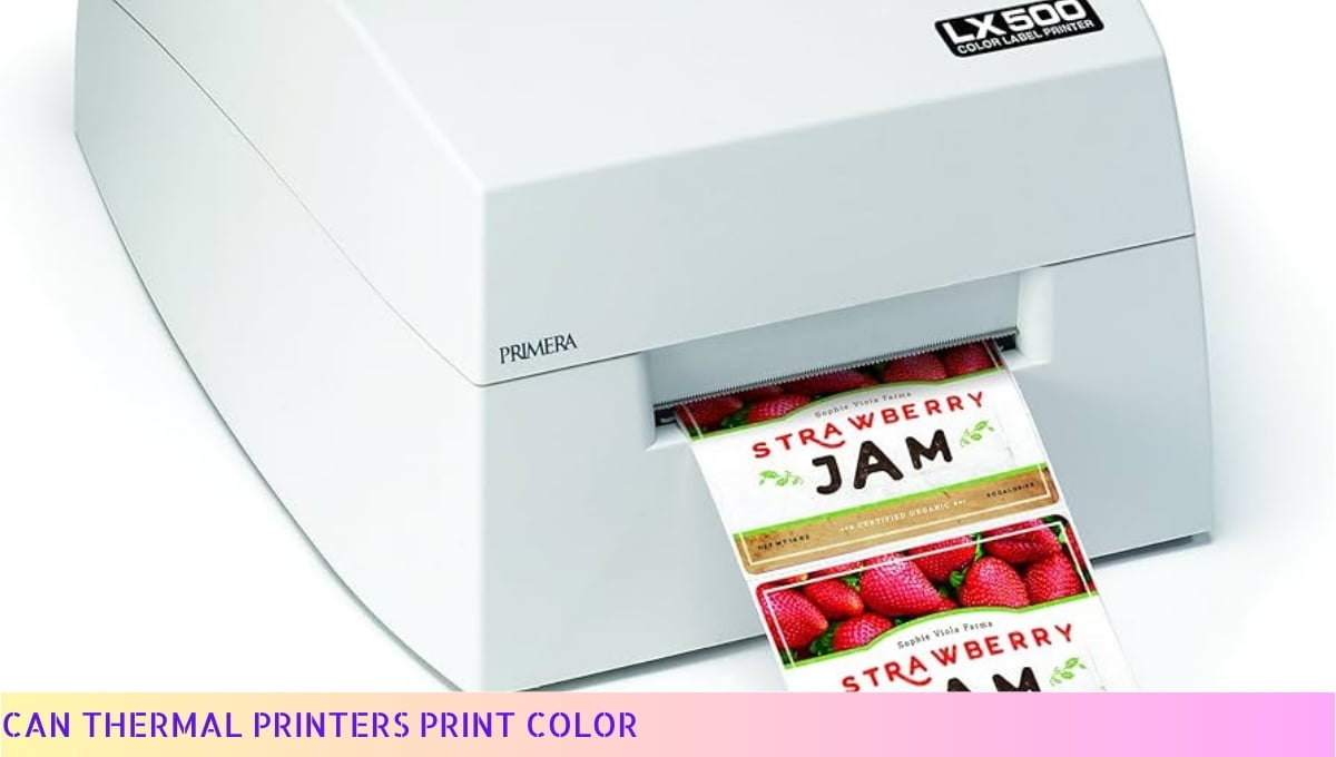 Can Thermal Printers Print Color? A Comprehensive Guide in 2024 11 Can Thermal Printers Print Color