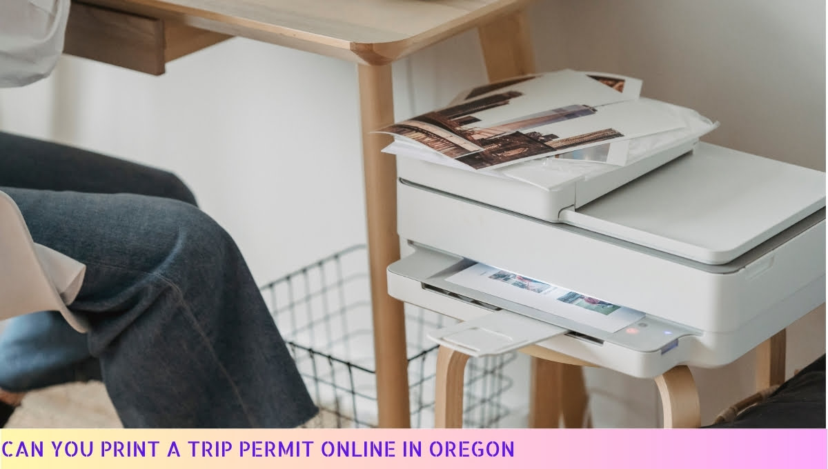 Can You Print a Trip Permit Online in Oregon